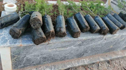 Anneler Günü’nde Mezarlıklara Çiçek Bıraktılar