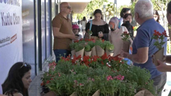 Antalya'da Belediyeden Annelere 25 Bin Hediye Çiçek