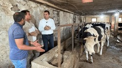 Kurban Bayramı Öncesinde Besiciler Maliyetlerin Yüksek Oluşuna İsyan Etti