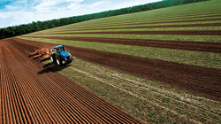 Çiftçiler Günü'nde Vahim Tablo: Üretici Mutsuz