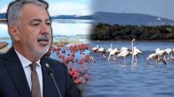 Gerçek Gündem, Gündeme Getirmişti... Milas'ı Yok Edecek Ağaoğlu ve Doğuş Tehlikesi Meclis'te
