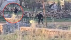 Vicdan da Adalet de Yaralı! Eşeği Döve Döve Öldürdü, Serbest Kaldı: Zulüm Kamerada