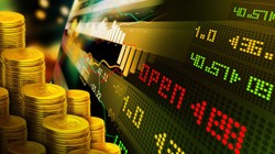 Ne Altın Ne Dolar Ne de Mevduat! Yatırımcısı Köşeyi Döndü