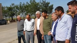 Yılın İlk Hasadı Başladı: Dalından Koptuğu Gibi 17 Bin TL'den Satıldı