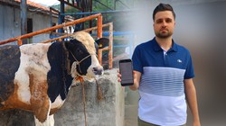 Kurban Bayramı Öncesi Büyük Tuzak! Kurbanlık Alacaklar Dikkat, Akılalmaz Dolandırıcılık İfşa Oldu