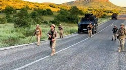 Diyarbakır'da Dev Operasyon: 7,5 Milyon Kök Kenevir Ele Geçirildi