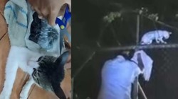 Suç Örgütünün Yeni Yöntemi Pes Dedirtti