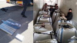 Durdurulan Tırdan 7 Düzensiz Göçmen ve Kaçak Sigara Çıktı