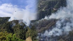 Kahramanmaraş'ta Orman Yangını! Alevler 3 Saatte Kontrol Altına Alındı