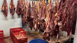 Skandalın Adresi Adana... 3 Ton Bozuk At Eti Ele Geçirildi