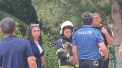 Yangında Mahsur Kalan Kedinin İmdadına İtfaiye Ekipleri Koştu