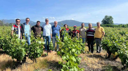 Çanakkale'de Don Felaketi Sonrasında Önemli İnceleme
