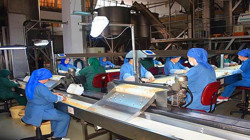 87 Yıllık Türk Devi Adım Adım Batıyor! Rekor Borcunu Ödemek İçin Mülklerini Satışa Çıkardı