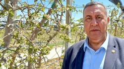 Tarihin En Soğuk Nisanı Tarımı Vurdu: CHP'li Gürer'den 'Etkisi Ağır Olacak' Uyarısı