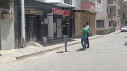 Vahşetin Adresi Manisa! Sokak Kedisini Pompalı Tüfekle Katletti, Serbest Bırakıldı
