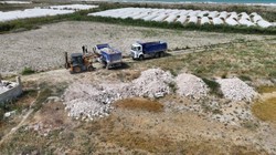 Kuş Cenneti'ne Kamyon Kamyon Çöp Dökmüşler!
