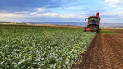Çiftçi Sayısı Azaldı, Borç Katlandı