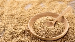 Yunanistan'a Gönderilen Susamda Ölümcül Bakteri!