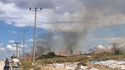 Çanakkale'de Otluk Yangını Korkuttu