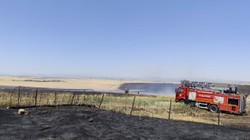 Diyarbakır'da 1000 Hektarlık Alanı Kül Eden Yangın