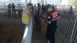 Kurban Bayramı Öncesi Dolandırıcılara Dikkat