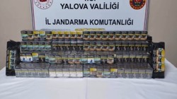 Yalova'da Kaçak Sigara Operasyonu: Bir Kişi Gözaltında