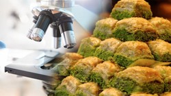 Bayram Öncesi Dikkat Çeken Araştırma, Baklavada Büyük Tehlike! Dışkı Kaynaklı Bakteri Çıktı