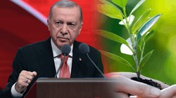 Cumhurbaşkanı Erdoğan'dan Dünya Çevre Günü Mesajı