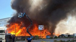 Kocaeli'de Palet Fabrikasında Büyük Yangın! İtfaiye Eri Hastaneye Kaldırıldı