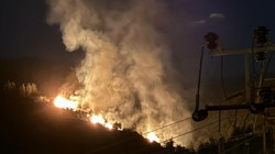 Aydın'da Orman Yangını: Kontrol Altına Alındı