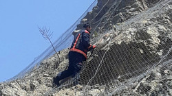 Tellere Takılan Keçileri İtfaiye Kurtardı