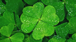 Bu Kişiler İçin Gün Boyu Sürecek! Pazartesi Hiç Bu Kadar Sevilmemişti