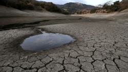 Dünya Tarihinde Bir İlk Yaşanabilir: Önce O Şehirden Başladı