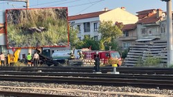 Kargalar Yangın Çıkardı: Hızlı Müdahale İle Söndürüldü