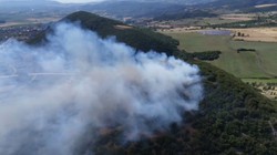 Tokat'ta Orman Yangını! 20 Dönüm Küle Döndü