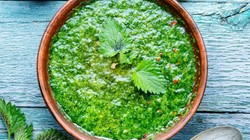 El Değmesiyle Yakıyor: Dökülen Saçları Sırım Gibi Hale Getiriyor, Resmen Vitamin Depoluyor