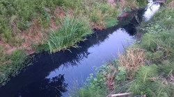 Organize Sanayi Atıkları Tarım Suyunu Zehirledi