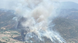 Aydın Söke'de Korkutan Alevler