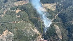 Soma’da Bir Günde İkinci Orman Yangını