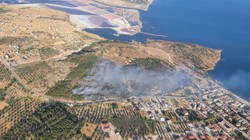 İzmir'de Orman Yangını