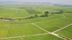 5 Bin Lirası Olan Tapu Sahibi Oluyor! Kelepir Fiyatına Arsa Satışı Başladı