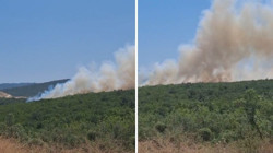 Bursa'da Korkutan Orman Yangını! Müdahale Sürüyor