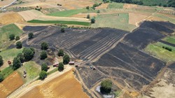 Sakarya'da 150 Dönümlük Tarım Arazisi Yandı