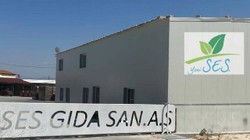 Türkiye'de Zeytin Üretiminde Lider Firma Konkordato Talebinde Bulundu