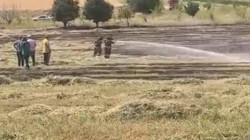 Bilecik'te Çıkan Anız Yangını Söndürüldü