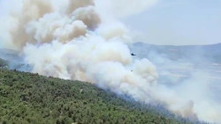 Manisa'daki Orman Yangını İkinci Gününde Kontrol Altına Alındı