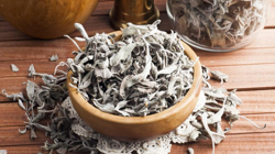 Şifa Diye İçilen Kurutulmuş Adaçayında Büyük Tehlike! Kimse Bilmiyordu, Sevkiyatta Ortaya Çıktı