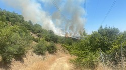 Bursa'da Orman Yangını! Havadan ve Karadan Müdahale Sürüyor