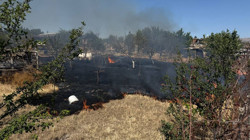 Sincan’da Ot Yangını Hobi Bahçelerini Küle Çevirdi