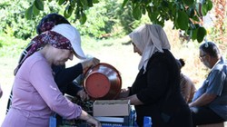 İkiz Elmasın Hasadı Başladı: Sadece 10 Gün Sürüyor, Kilosu Servet Kazandırıyor